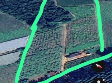 Foto 01 · Chácara à venda em São Miguel Arcanjo-SP, Zona Rural: 1 quarto, 1 sala, 1 banheiro, 70m² de área!