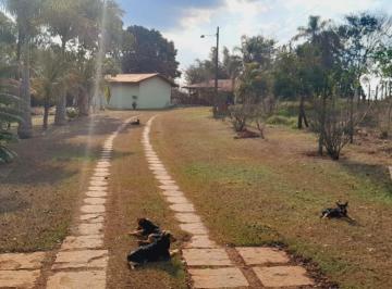 Foto 01 · Sitio 25 mil metros em boituva ao lado de condomínio casa 2 quarto,sala cozinhar,banheiro, +2 quart