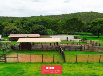 202509221333071069.jpg · Fazenda para Venda em Santo Antônio do Descoberto