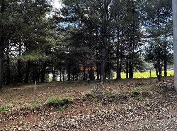40845616_g.jpg · 
                                Terreno Plano com Vista Panorâmica para a Barragem da Julieta em Fa