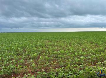 Rural · 7200m² · 2 Quartos · Fazenda em Querencia