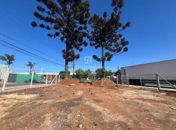 Terreno · 1300m² · Terreno com 1300 m², à venda no bairro Cajuru.