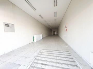 Comercial · 250m² · 3 Quartos · ✨ Oportunidade imperdível para o seu negócio!