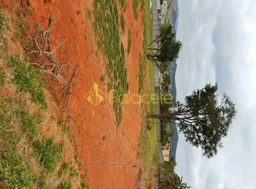 1001122969.jpg · Terreno padrão à Venda, Chácara São Félix, Taubaté, SP