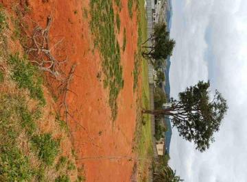 1001122969.jpg · Terreno padrão à Venda, Chácara São Félix, Taubaté, SP