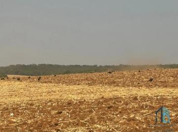 Foto 01 · Sítio com área verde e pomar, 14 alqueires, arrendado que planta soja, em Vianópolis Goiânia - GO