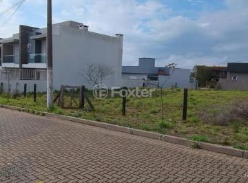 4e13945eb5843efc0795c72dd46ce270.jpg · Terreno, 264 m², em Dom Feliciano