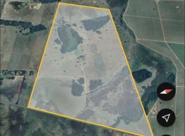 Rural , Panorama · FAZENDA PANORAMA-SP