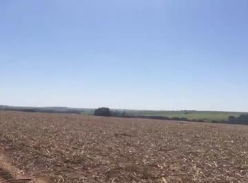 Rural , São José do Rio Preto · FAZENDA SÃO JOSÉ DO RIO PRETO