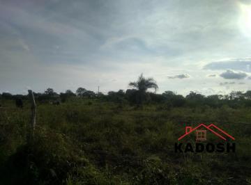 Foto 01 · Venda de 4 tarefas localizada Proximo A São Gonçalo dos Campos atras da Gujão