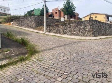 9554_ig4UQ231M2o4ciD_955468b5fb5e7a2ef.jpg · Imoveis - em Salgado Filho