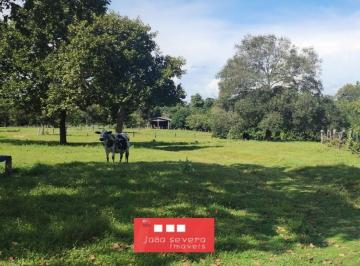 20250901211402689.jpeg · Fazenda para Venda em Luciara