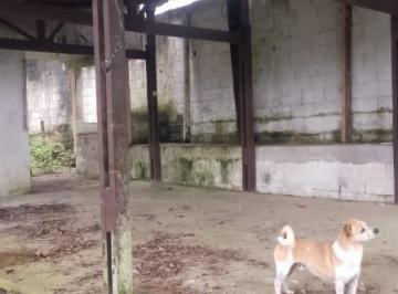 Photo 12 · Chácara à Venda no Riacho Grande – São Bernardo do Campo/SP – 1.259 m² com Pomar