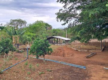 Rural de 3 quartos, Planaltina · Vendo Excelente Propriedade Planaltina de Goiás 13.5Ha 450.000