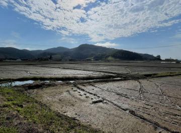 Terreno · 23000m² · Terreno Industruial/Comercial à venda em Gaspar/SC- Bairro Arraia D'Ouro