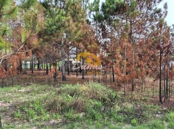 Terreno · 300m² · TERRENO PARA INVESTIMENTO EM NOVA TRAMANDAÍ