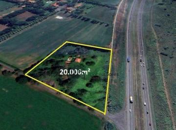 d06ad960f23dfc5ce70cc39a7c68f394f8542de6 · Área à venda, 20000 m² por R$ 10.000.000,00 - Zona Rural - Jaguariúna/SP