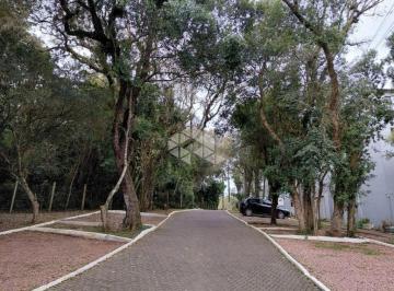Apartamento · 45m² · 2 Quartos · 1 Vaga · Apartamento 2 dorms à venda Rua Dolores Duran, Agronomia - Porto Alegre