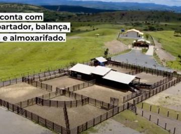 Foto 01 · ?Fazenda em Pirenópolis-Goias ? ?238 alqueires goianos   ?Sede de Luxo ?   ?180 alqueires formados e