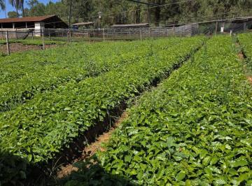 64564f5174bc8a0adeda27875d2fa8a4.jpeg · Fazenda / Sítios / Chácaras à venda em Bom Sucesso, no bairro Zona Rural