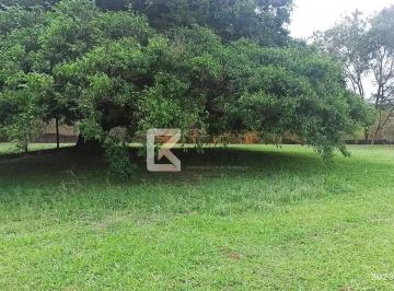 whatsapp-image-2025-02-19-at-14-31-02-41741636120912.jpeg · Imoveis - no Jardim Figueira
