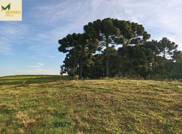 Rural · 260ha · Fazenda de 260 há com 100 há de lavoura na Serra!!