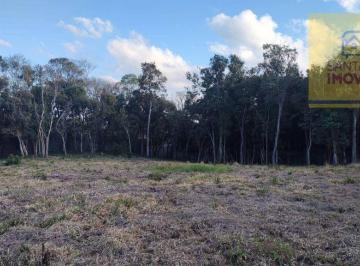 5c2a76fe8d8e4e5725370e6028b94df579c94c83 · Terreno à venda, 3000 m² por R$ 750.000,00 - Loteamento Ouro Verde I - Campo Largo/PR