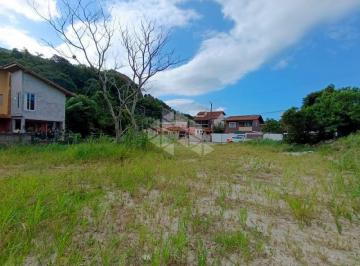 a4FbJ00000TUiEE · Potencial e Estratégia! Terreno de 726 m² no Rio Tavares, o Coração do Sul da Ilha.