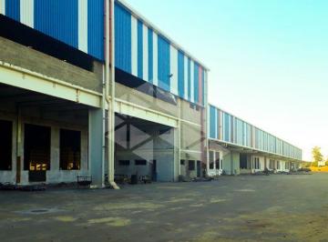 Comercial · 1533m² · Depósito 1533.38M² - para Alugar