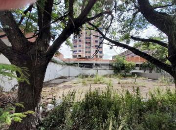 20240219_151340 · Terreno 350M² - para Alugar