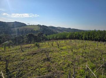 Foto 01 · Área, Sobrado, Agudos do Sul, PR