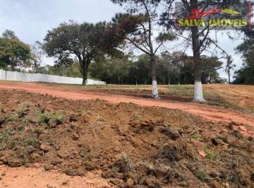 Terreno · 1156m² · Terreno à venda - em Terra Preta