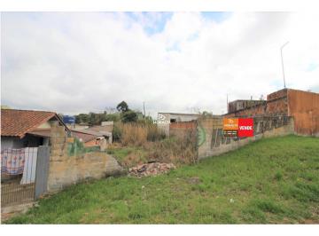 Terreno em São José dos Pinhais - Jardim Carmem (TE02749) · Terreno à venda 590,00m² Bairro Jardim Carmem