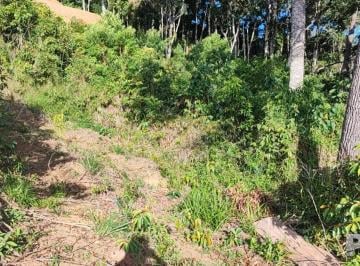 Terreno · 966m² · Terreno em Prata, Teresópolis/RJ de 966m² à venda por R$ 300.000,00