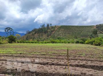Terreno · 7000m² · Terreno em Granja Mafra, Teresópolis/RJ de 7000m² à venda por R$ 455.000,00