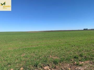 Rural · 472ha · Fazenda com mais de 300 há de lavoura na Fronteira Oeste!!