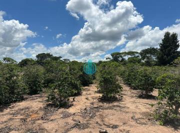 Foto 01 · VENDE-SE TERRENO NO CAMPESTRE EM SEABRA CHAPADA DIAMANTINA - BA!