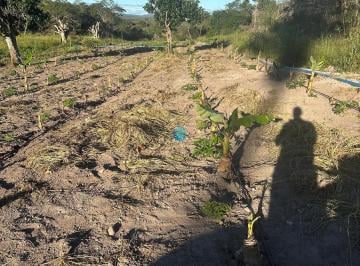 Foto 01 · VENDE-SE FAZENDA EM SEABRA - CHAPADA DIAMANTINA - BA!