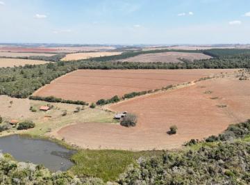 Foto 01 · *EXCELENTE FAZENDA A VENDA EM SÃO MIGUEL ARCANJO-SP* ??   Área Total: 181,5 Hectares ou 75 Alqueires