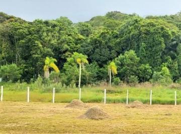 202509041636482495.jpg · Terreno para Venda em São José, Forquilhas