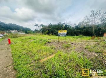 b35fab9dedb78b889d396aa55976fc38495d70f6 · Terreno à venda, 363m² por R$ 280.000 - Velha - Blumenau/SC