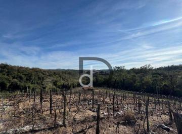 b979e030c53d2ca1313fbd722da35abe3945c038 · Sítio à venda, 23000 m² por R$ 990.000,00 - Engenho Seco - Louveira/SP