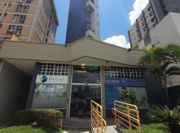 5505_i589111q_550561e585b438274.jpg · Imoveis - na Cidade Nova