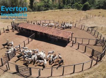 Foto 01 · Fazenda de 80 alqueires em Araguari-MG: pecuária de corte, sede aconchegante, curral completo e muit
