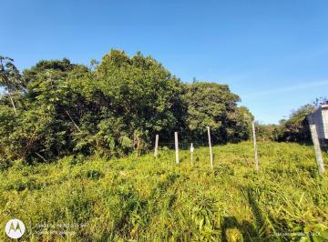 202509051252407998.jpg · Terreno para Venda em Peruíbe, SANTA CRUZ