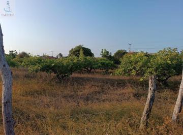 Foto 01 · Terreno à venda em Fortim-CE, no bairro Córrego do Maceió, com 720,00 m² de área. Aproveite essa opo