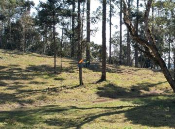 Foto 01 · Chácara, Campo Alegre, Campo Alegre, SC