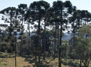 Foto 01 · Chácara, Campo Alegre, Campo Alegre, SC