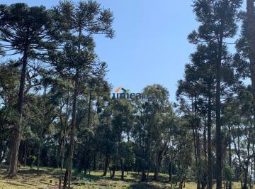 Foto 01 · Chácara, Campo Alegre, Campo Alegre, SC