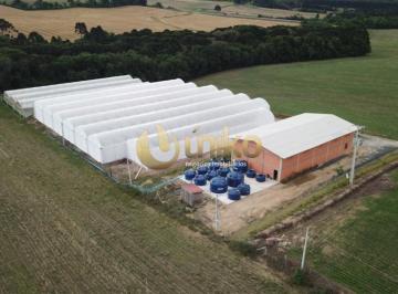 Rural · 30250m² · Rurais à venda - no Centro
